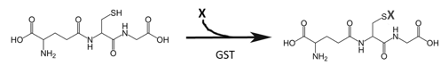 GST General Reaction