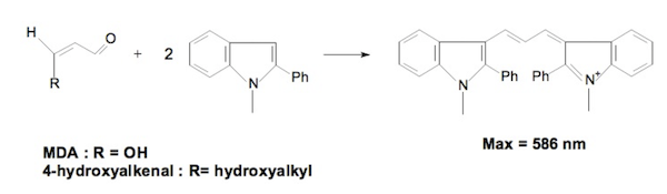 MDA Reaction to Form Chromophore