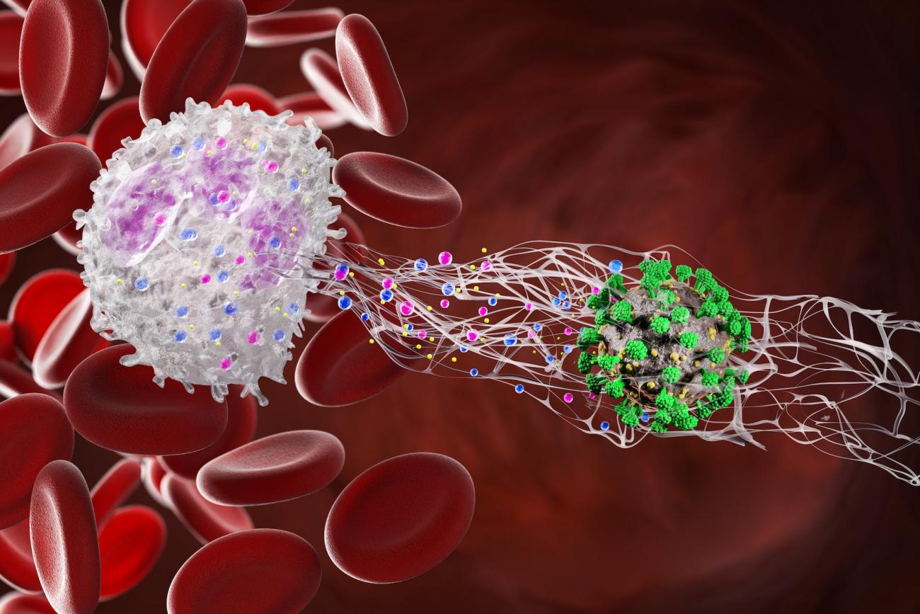 NETosis | Oxford Biomedical Research